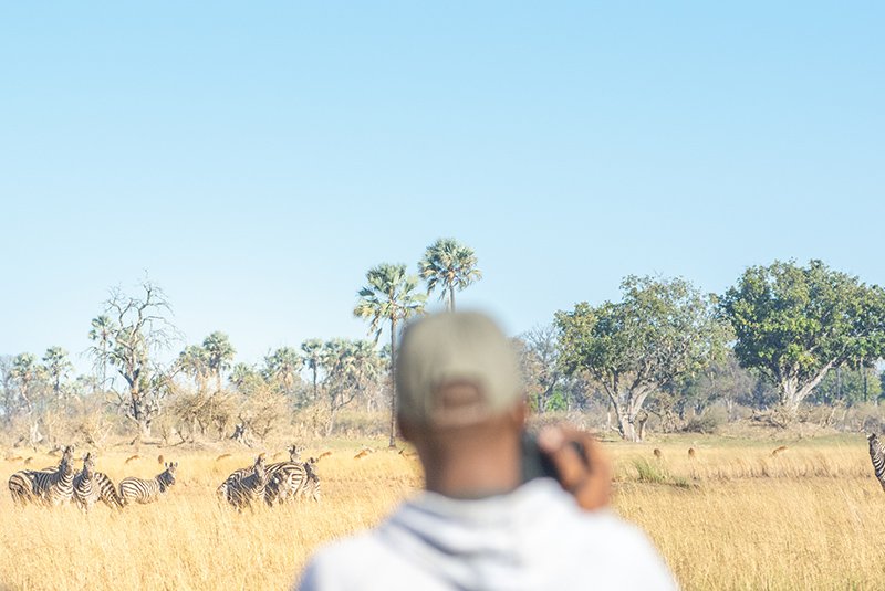 Guided nature walk in the bush